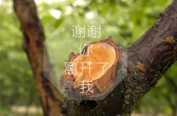 -孤星之战，2026世界杯生死夜，印度铁骑踏碎乌拉圭，哈基米绝命一击定乾坤