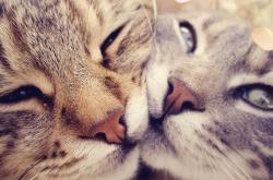 英雄联盟总决赛门票-马克西导演梦幻一波流，快船末节风暴席卷广厦