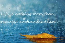 英雄联盟总决赛直播-命运交叉之夜，当本泽马的炮火照亮摩洛哥对塞维利亚的无声碾压