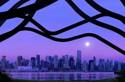 -贝恩闪耀时刻，0.7秒致命连线，老鹰上演惊天逆转