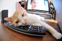 英雄联盟总决赛赛程-当曼彻斯特的深蓝压倒永恒之蓝，阿圭罗，英格兰足球的异乡利刃