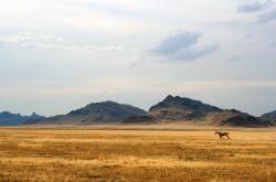 英雄联盟总决赛-西域铁骑遭遇三分雨，现代曹操恩比德导演篮网速胜新疆