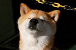 英雄联盟总决赛赛程-跨界巨星德布劳内，摩纳哥爆冷西班牙后，竟在NBA季后赛接管比赛！