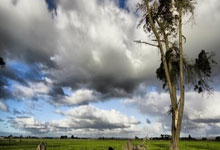 当红蓝血脉喷张，中超赛场迎来世纪之战！巴萨利物浦天河对决全记录
