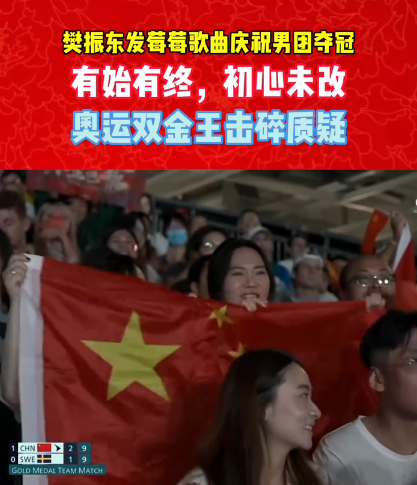 瑞典队逆转日本队,樊振东带队取胜 瑞典队逆转日本队,樊振东带队取胜