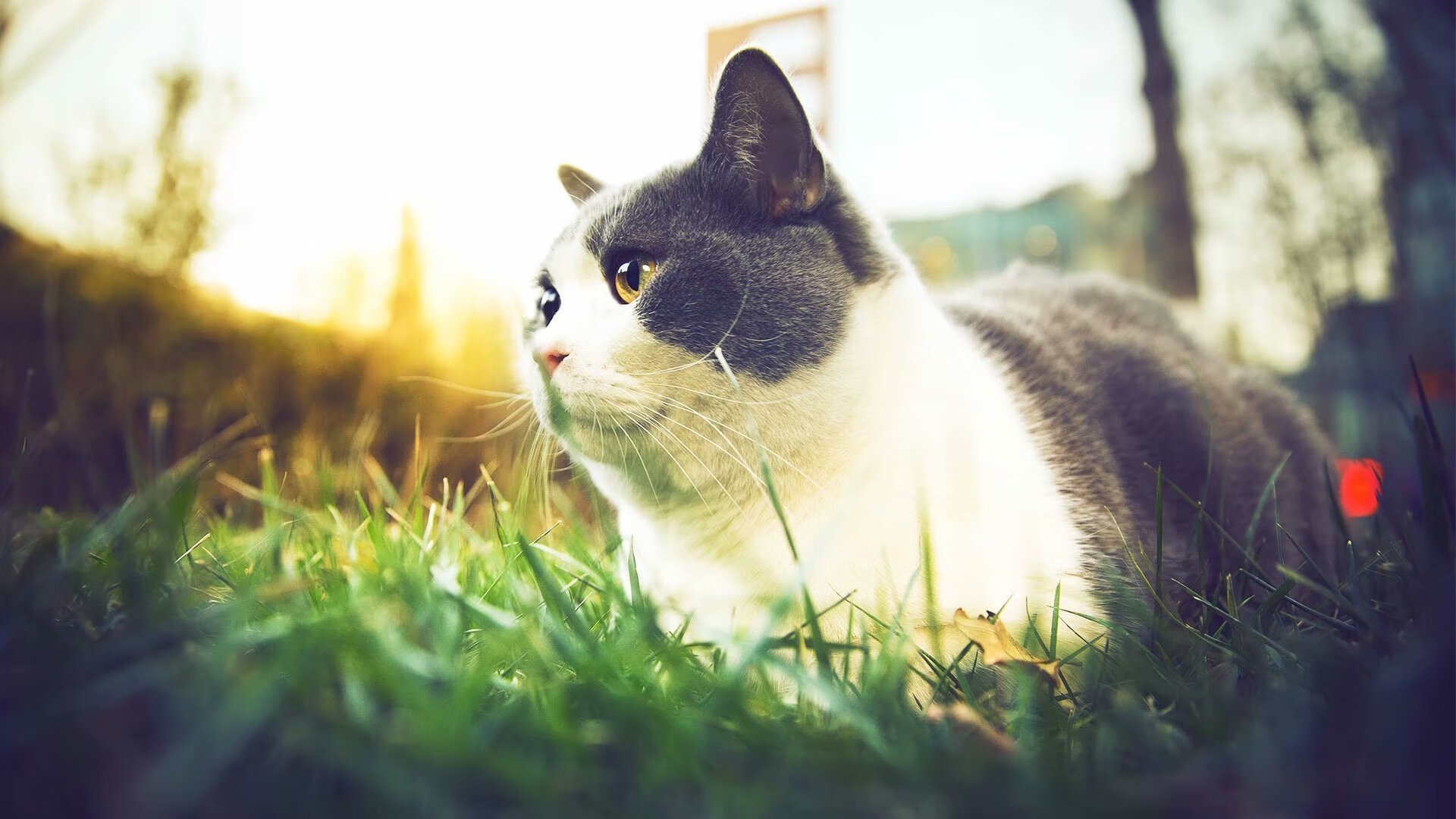 绝境闯入,锡安扛起马刺新王旗帜,踩碎广厦最后反扑