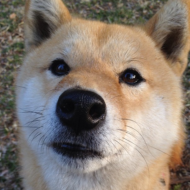 被算法遗忘的苏亚雷斯，即将与金元巨人决战旧欧洲