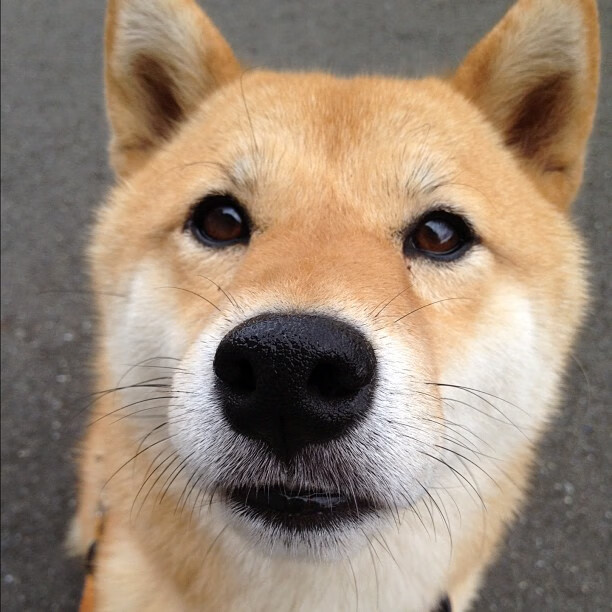 韩希对决中的巴西风暴，法比尼奥如何成为颠覆战局的关键先生