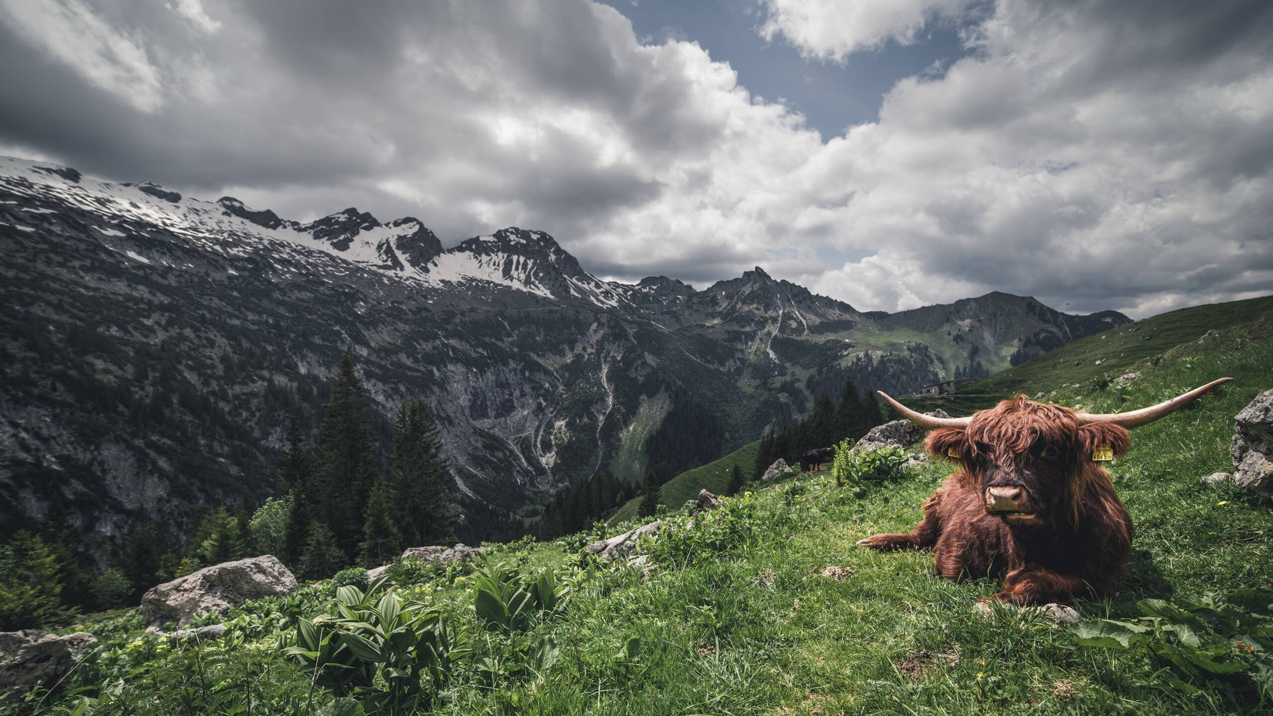 独家揭秘，巴尔韦德如何用一场非典型胜利重新定义中场统治力？