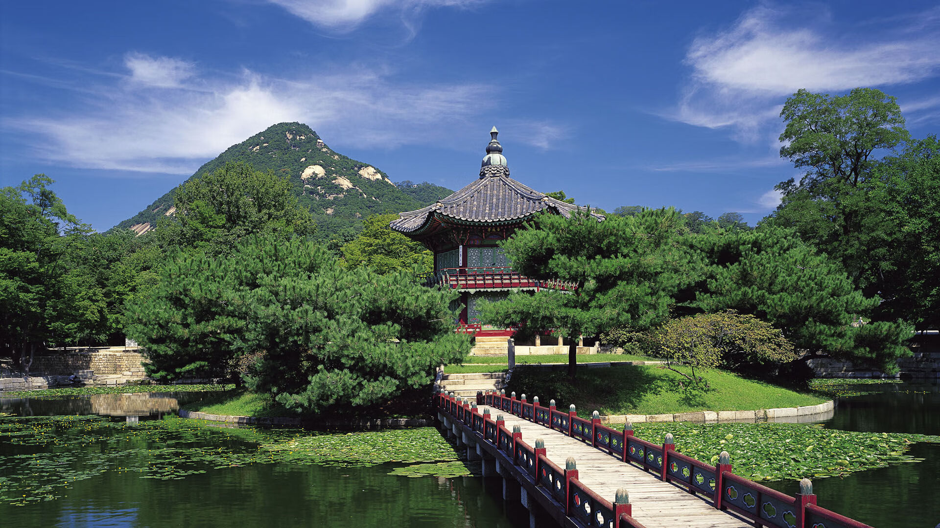 黑夜撕开金边,当福克斯的獠牙刺破辽宁钢铁防线