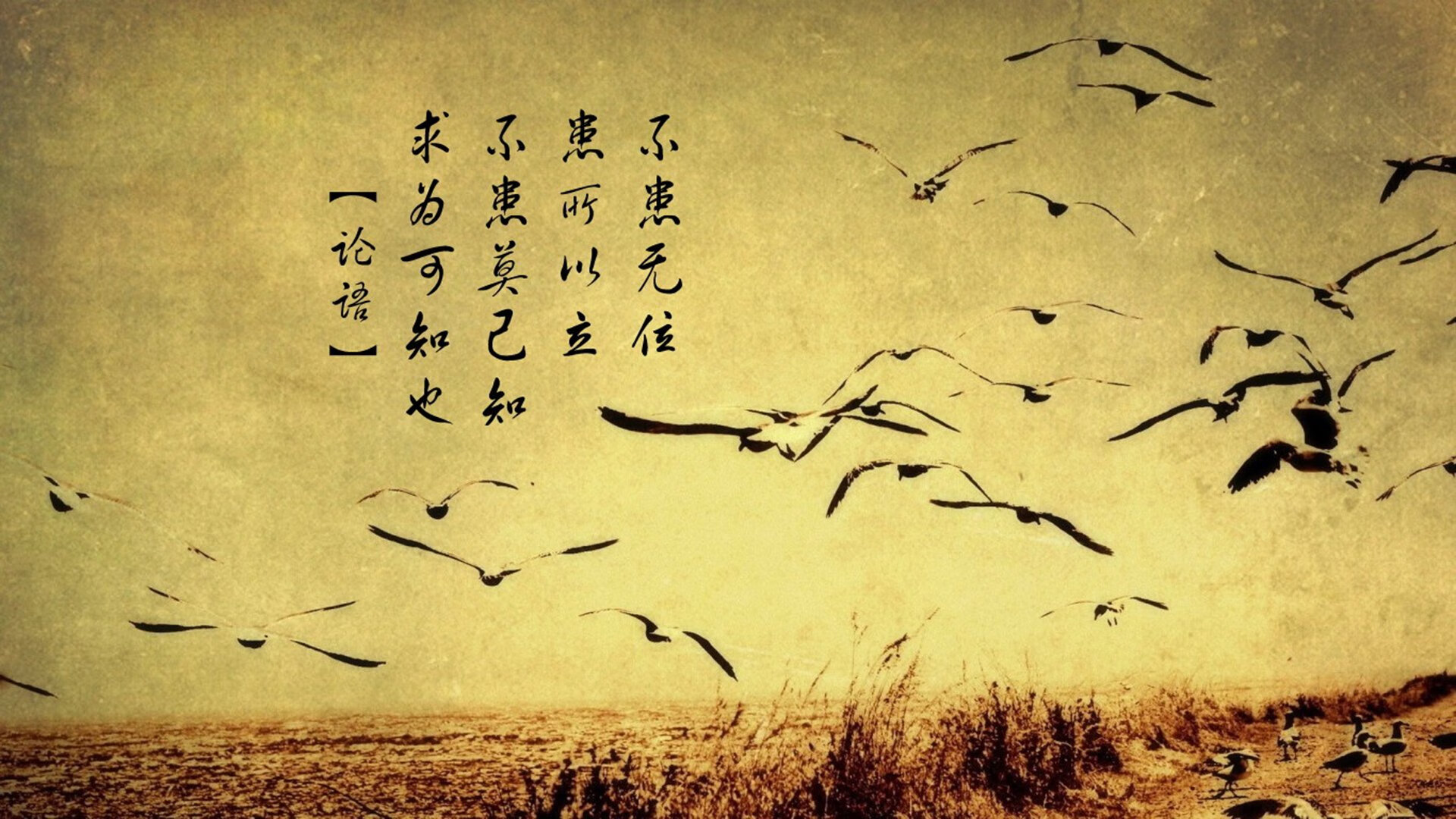 风暴之眼，当保罗的蜂群席卷五棵松