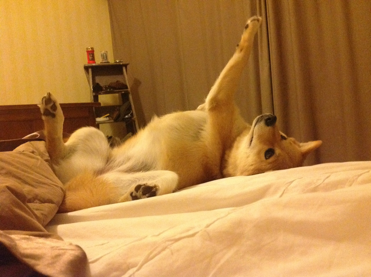 当奥运足球遇上银河战舰,皇马险胜乌拉圭背后的体育周期博弈