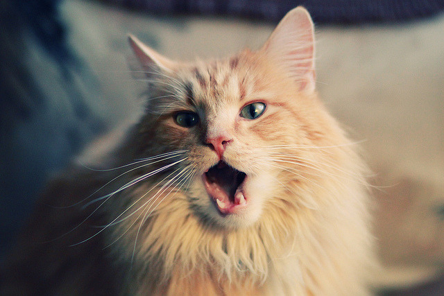 体系对巨星的终极审判,当马刺的齿轮精准咬碎东契奇的星河