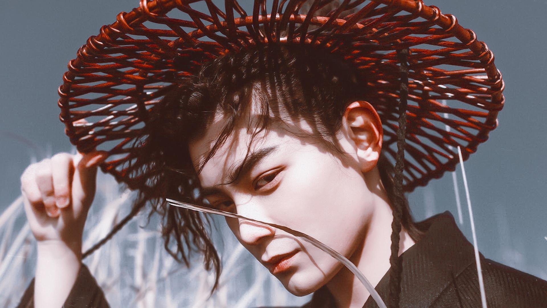 霍勒迪宣告，冠军级的演出，广东队击退黄蜂