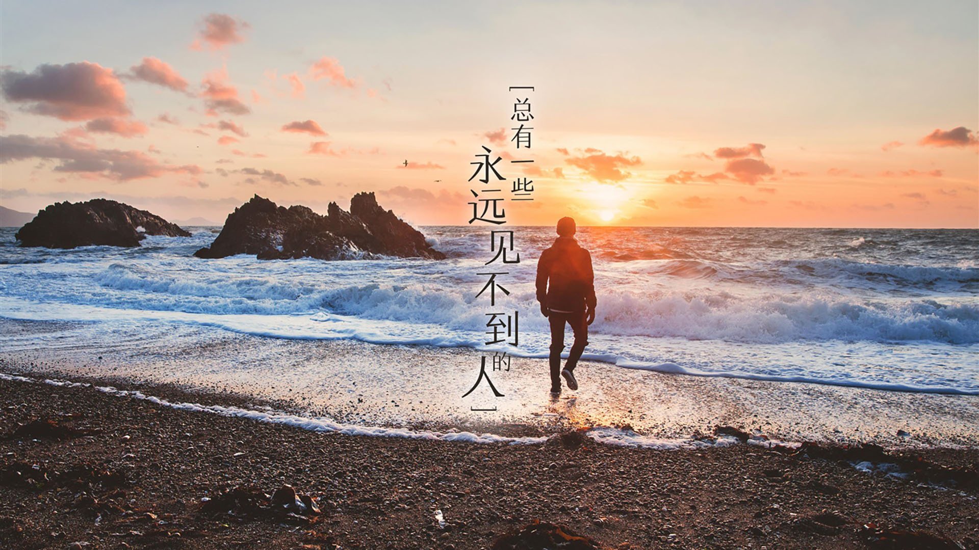 铁血防线 vs 天才一击,努涅斯照亮委内瑞拉压制哥伦比亚之夜