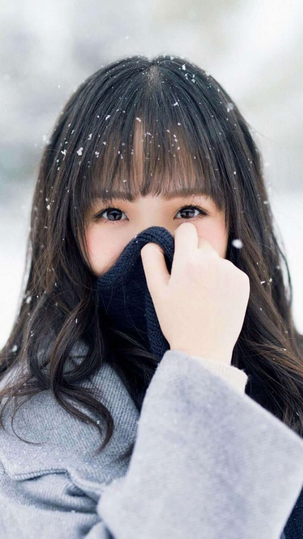 新王加冕之夜,2026世界杯,美国带走郁金香