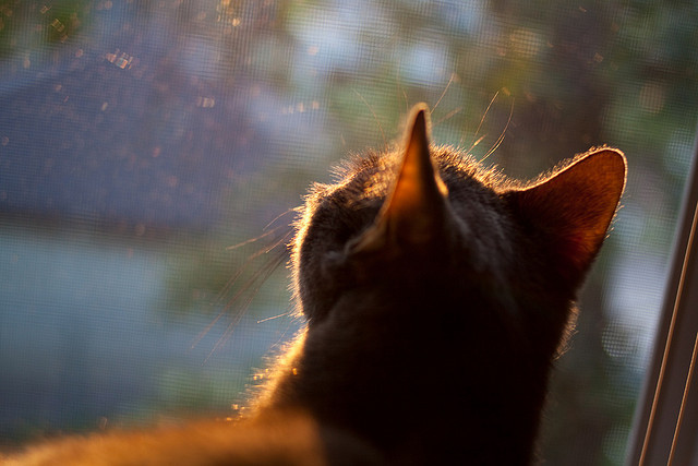 东决关键战之夜，马丁内利破茧成蝶，逆境中铸就高光传奇