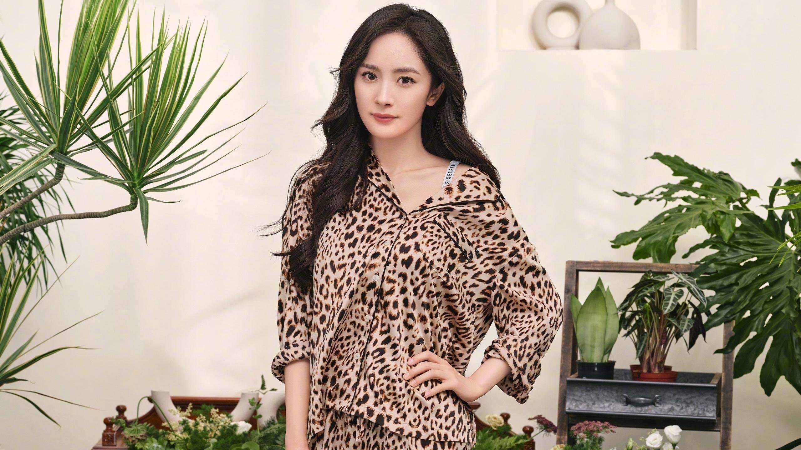 绿茵与硬木的交响，当德甲争冠战遇上塔图姆的完美评分夜