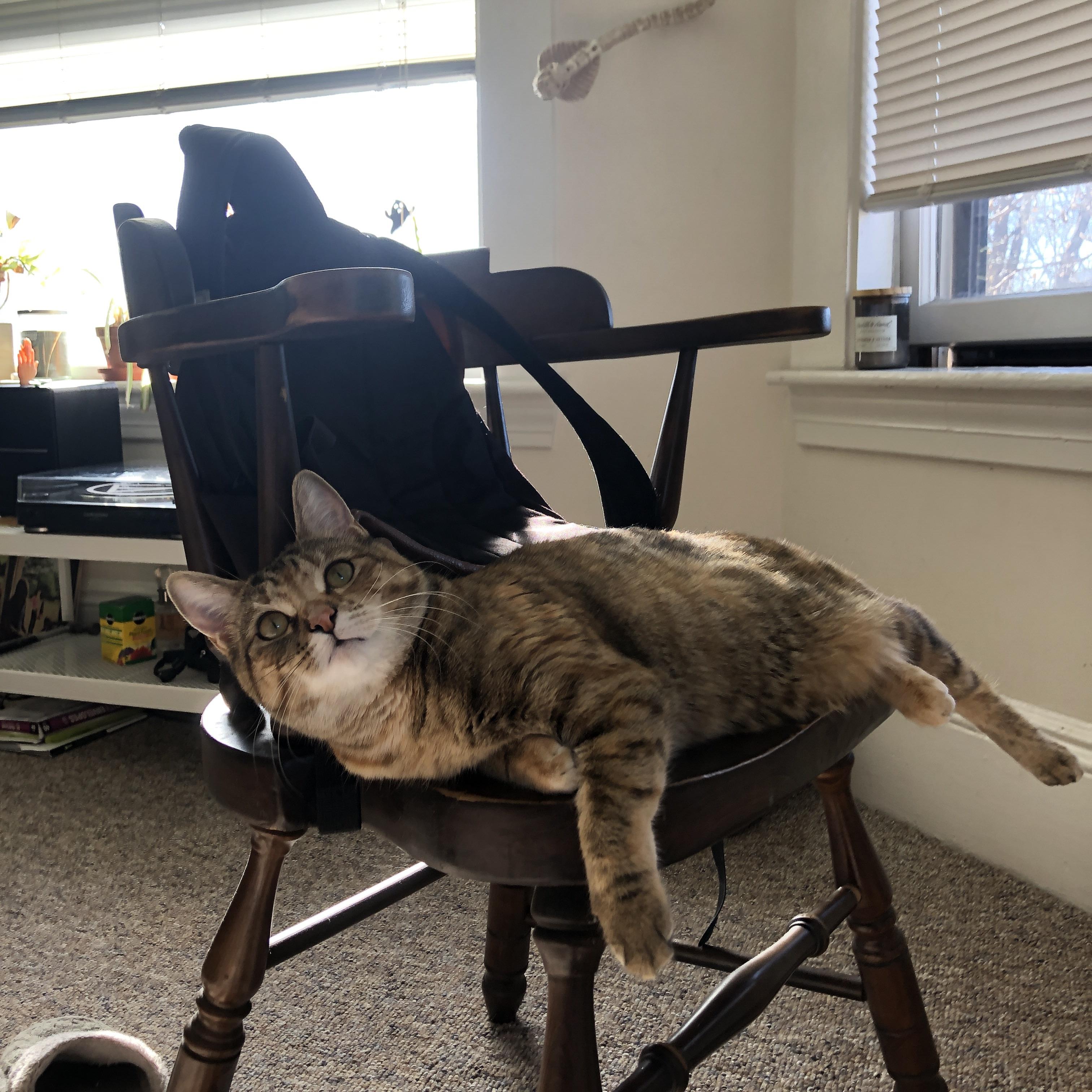 胜利的两种语法，当瑞士铁骑遇见卡马文加的奇幻之夜