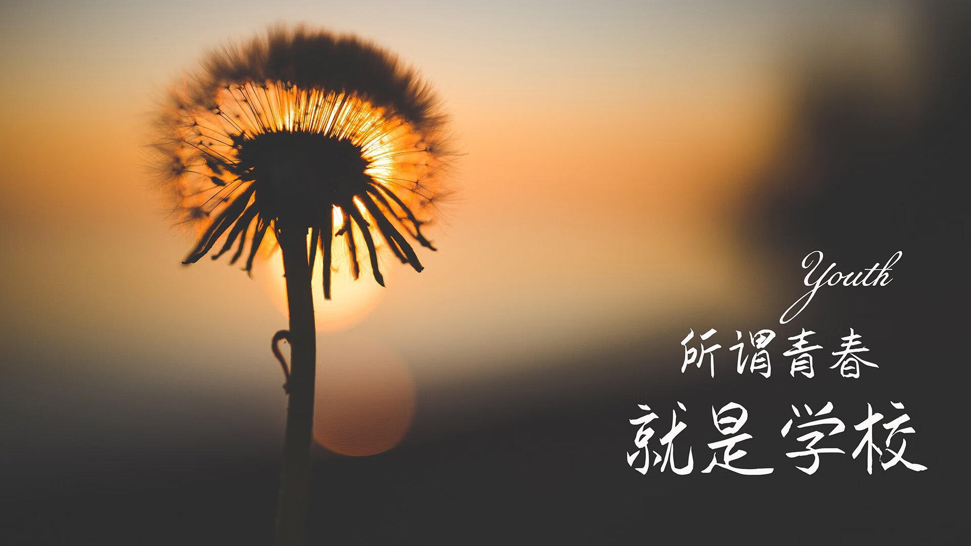 封神夜,世界排名争夺战中,莱万用一场史诗级屠榜轰碎所有质疑