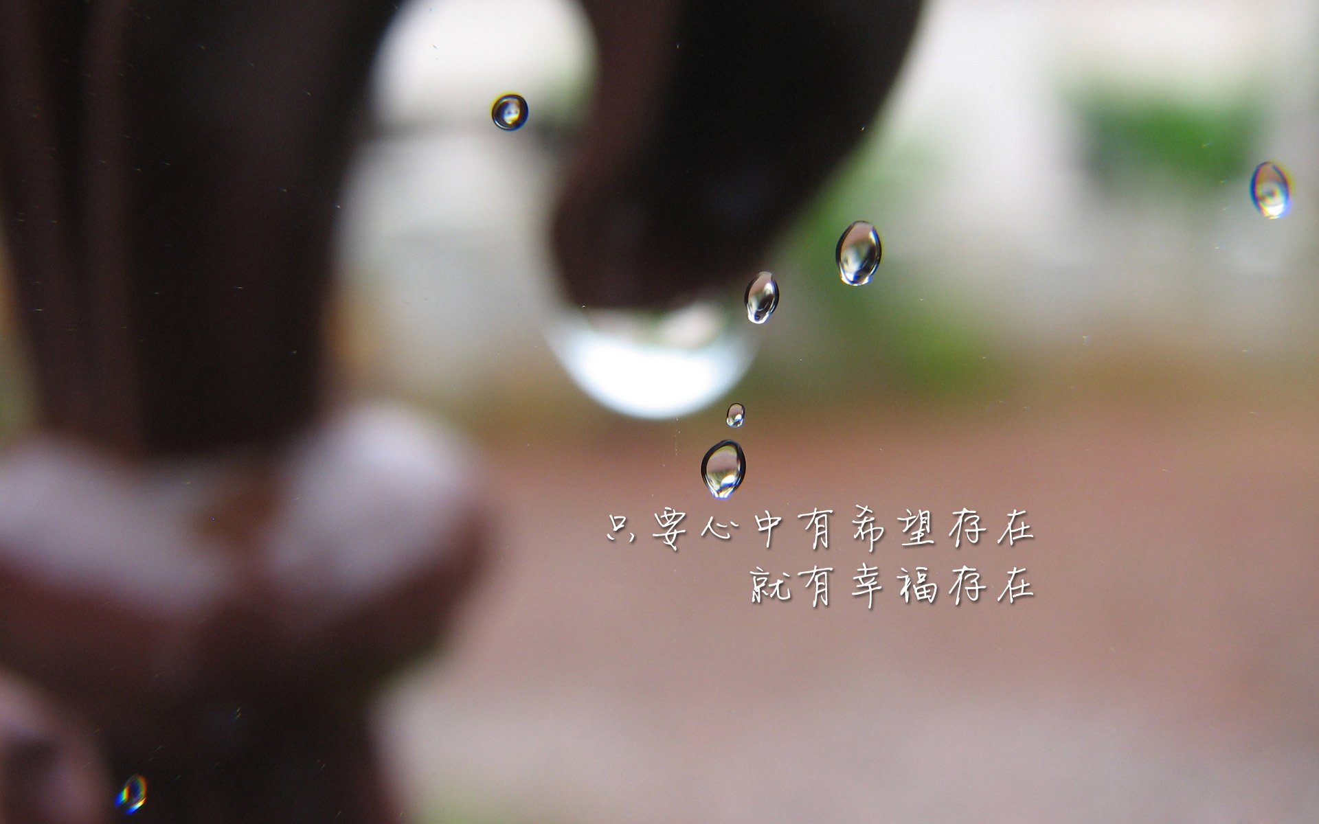 孤星耀世,2026世界杯C组焦点战,加维用一场完美演出定义罗马尼亚的奇迹之夜