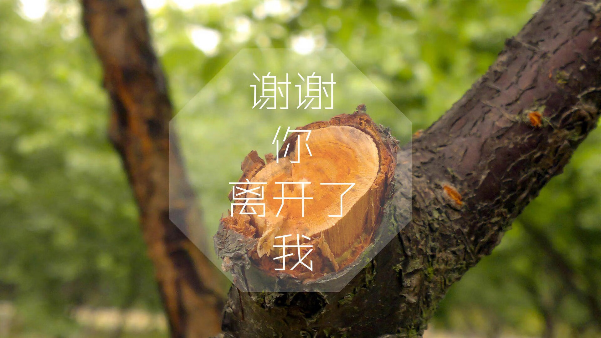 沙漠之鹰啄伤天蓝军团，2026世界杯F组，伊拉克爆冷力克乌拉圭，贝林厄姆导演逆转神剧
