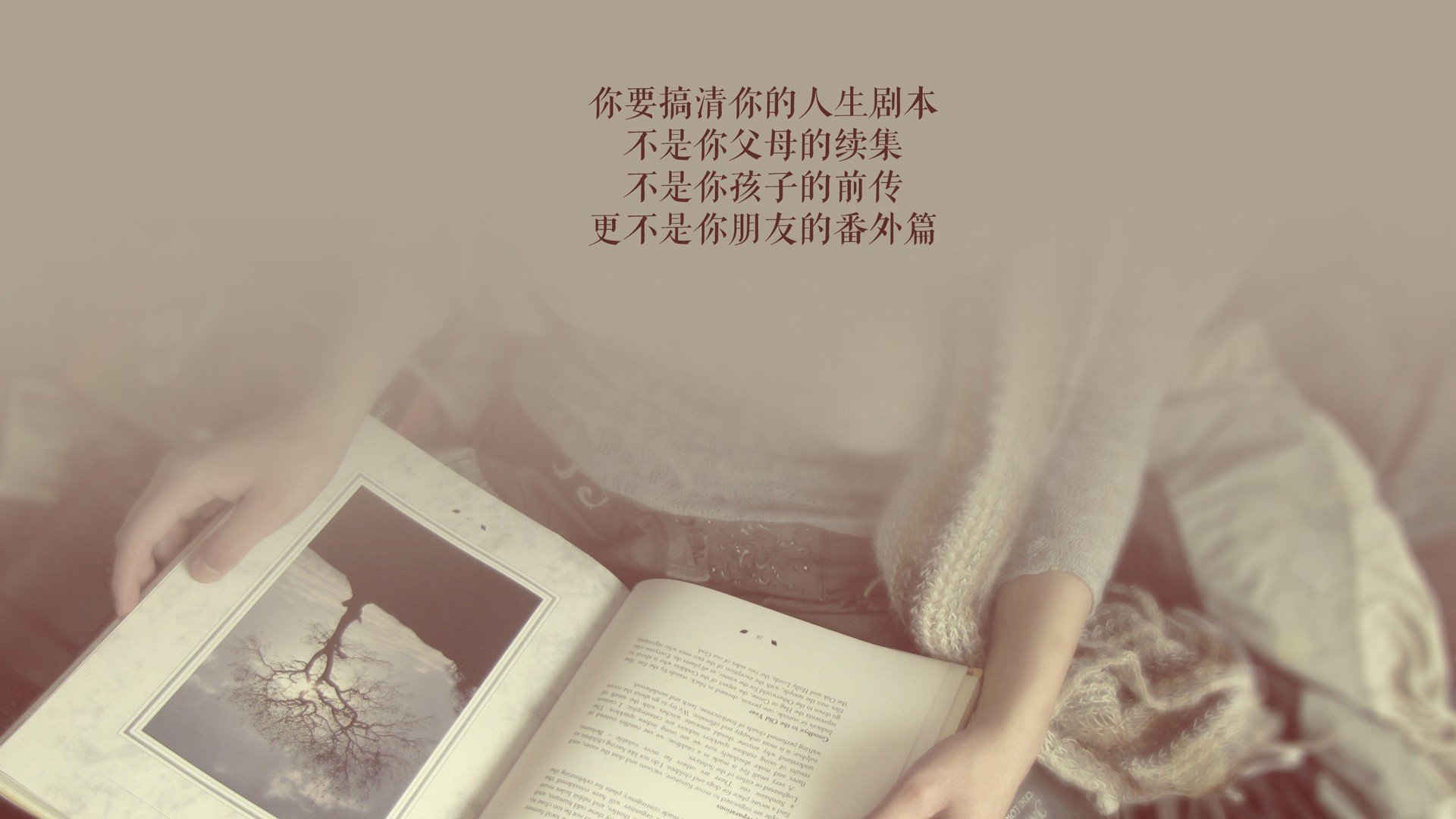 中场定乾坤,当波兰的铁血撞上桑巴的灵韵,卡塔尔沦为孤独看客
